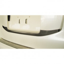 REAR LICENCE MOULDING