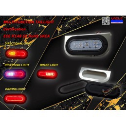 TAIL LIGHT
