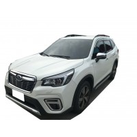 FORESTER-18