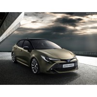 AURIS 2018