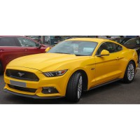 MUSTANG 15