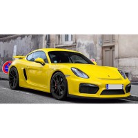 CAYMAN/BOXSTER 981